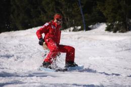 skifox2.jpg