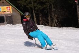 skifox3.jpg