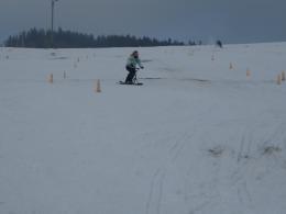 snowscoot_2.jpg