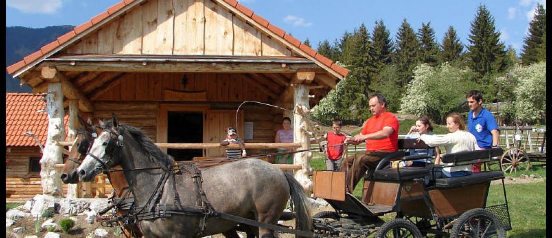 Kulig-Konský povoz