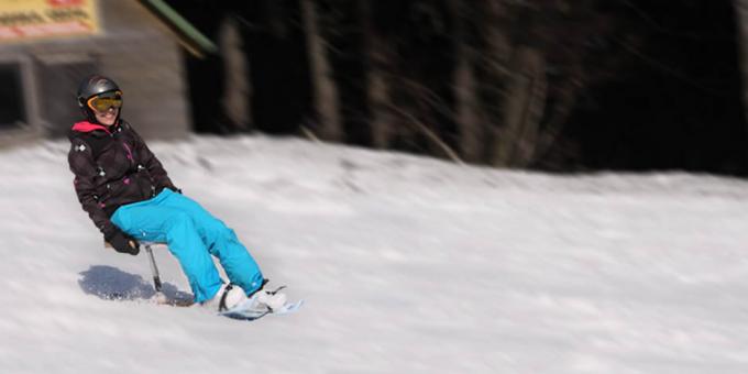 Skifox