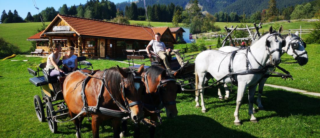 Agroturistika Salaš Pastierska