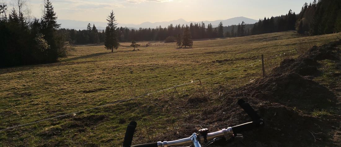 Ebike