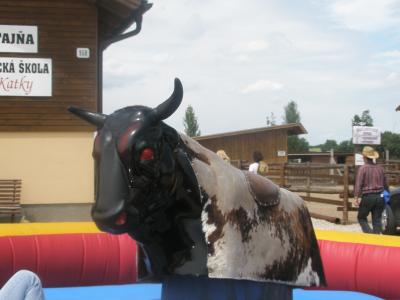 unicredit_pioneer_cabaj_capor_2009_31.jpg